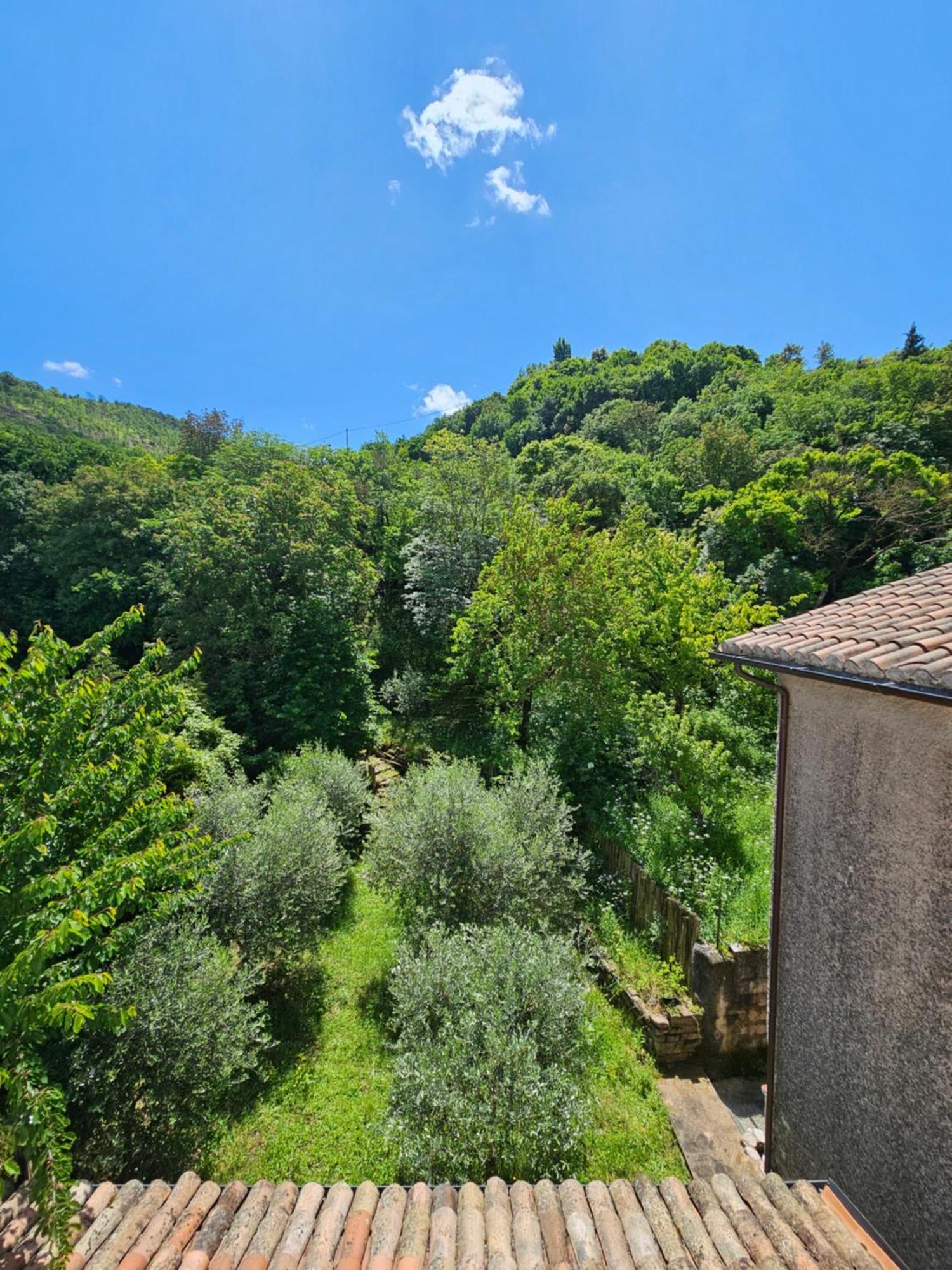 La Rosa Dei Venti - Country House Fossato di Vico Eksteriør bilde